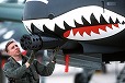 GAU-8 アヴェンジャー（GAU-8 Avenger ）